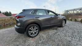 Mazda CX-30 Kamienna Góra - zdjęcie 5