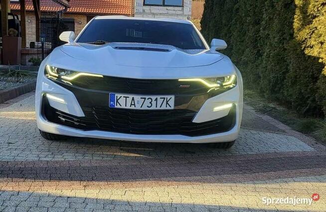 Camaro Chojnik - zdjęcie 2