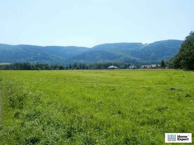 Działka (6000 m2) Polanica-Zdrój Polanica-Zdrój - zdjęcie 8