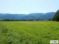 Działka (6000 m2) Polanica-Zdrój Polanica-Zdrój - zdjęcie 8