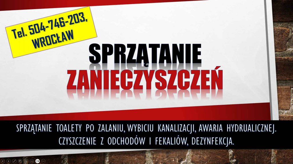 Sprzątanie zabrudzonych toalet, tel. 504-746-203. Wrocław. fekalia Psie Pole - zdjęcie 3