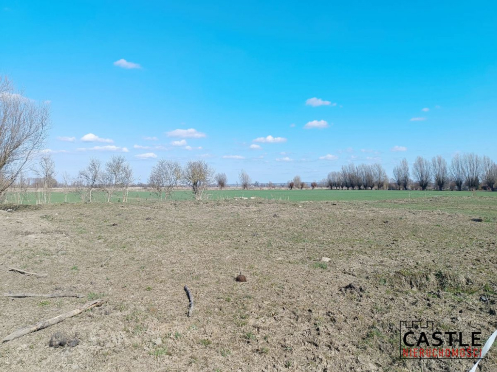 3 działki tylko 17km od Elbląga I Markusy I spokój Markusy - zdjęcie 9