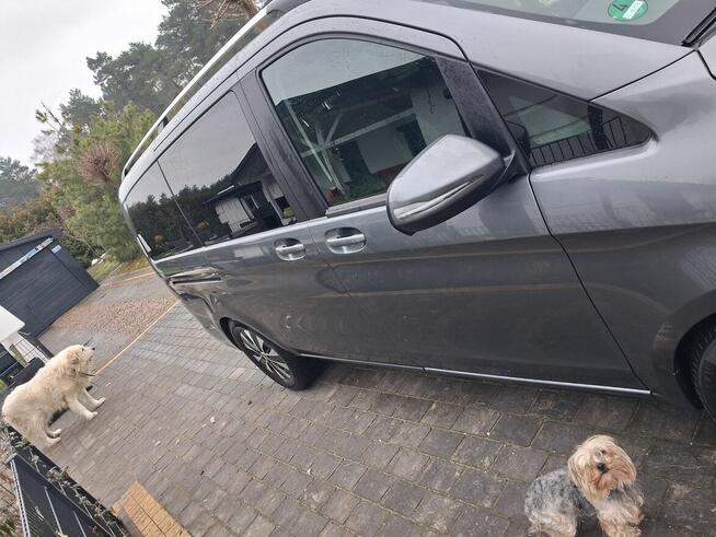 Sprzedam mercedes klasa v250 long DO NEGOCJACJI Obrowo - zdjęcie 5