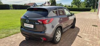 Mazda CX-5 NAVI-MEDIA-GRZANE FOTELE-START STOP Paproć - zdjęcie 9
