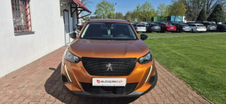 Peugeot 2008 KAMERA 360-LIFT-LED-METALIC Paproć - zdjęcie 2