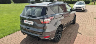 Ford Kuga ST-LINE-KAMERA-START-STOP Paproć - zdjęcie 10
