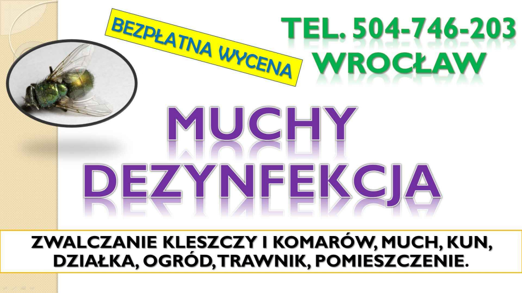 Likwidacja much dezynfekcja, t. 504-746-203, Wrocław. Zwalczanie muchy Psie Pole - zdjęcie 4