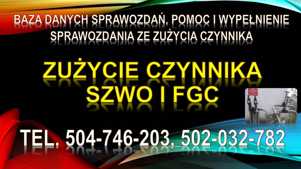 Sprawozdanie  SZWO i FGC, tel. 504-746-203, do Bazy Danych Sprawozdań. Psie Pole - zdjęcie 3