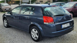 Opel Signum Skóra! Soczewka! Alu! Zamiana też! Zduńska Wola - zdjęcie 3