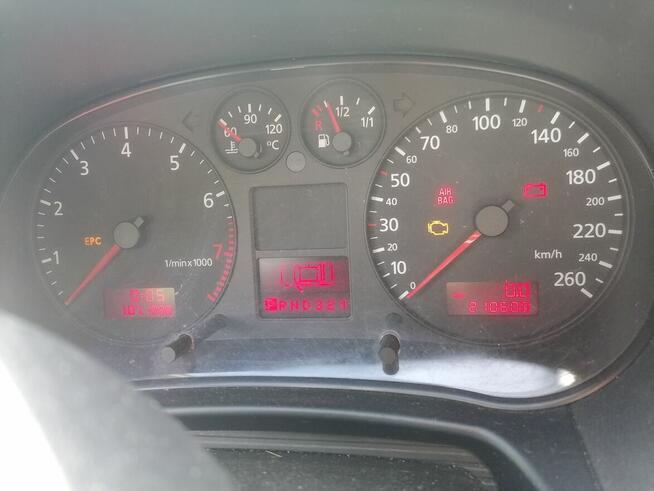 Audi Zboże - zdjęcie 3