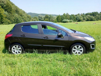 Peugeot 308 -1,6 b-polski salon