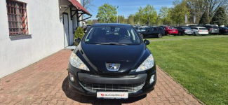Peugeot 308 PANORAMA Paproć - zdjęcie 2
