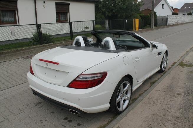Mercedes SLK 250 Ostrów Wielkopolski - zdjęcie 10