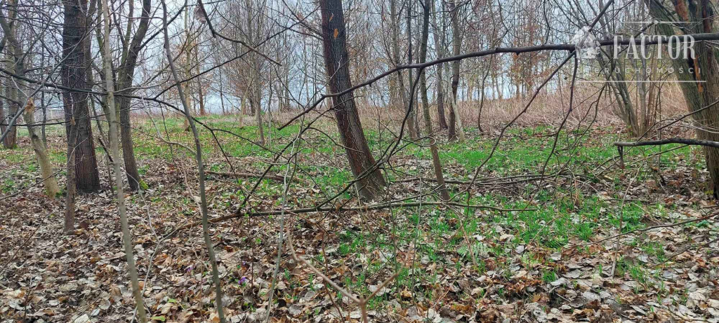 Rzepiennik Biskupi, działka rolna 30 a, 1120S/2024 Rzepiennik Biskupi - zdjęcie 3