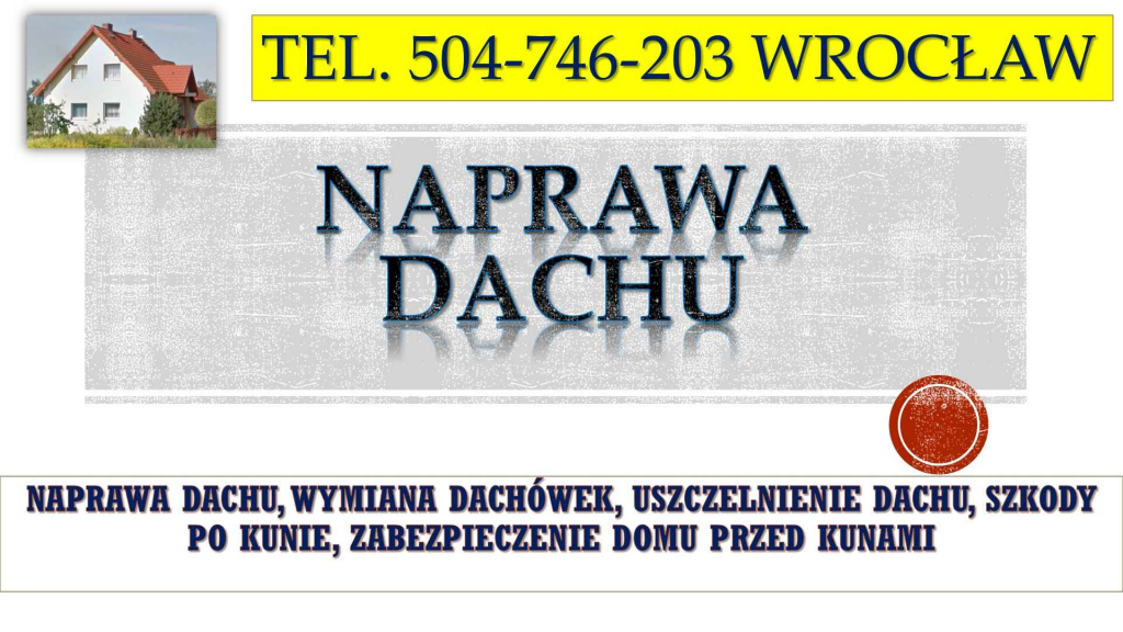 Naprawa dachu, tel.504-746-203. Remont i uszczelnienie dachu po kunie. Psie Pole - zdjęcie 1