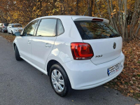 Polo Cool Trendline Siewierz - zdjęcie 3