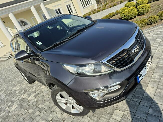 Kia Sportage 1.6 benzyna kamera ledy Drelów - zdjęcie 11