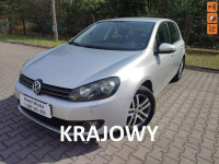 Volkswagen Golf Salon Polska