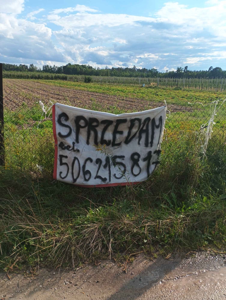 Sprzedam działkę rolną Warka - zdjęcie 3