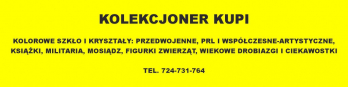 Kolekcjoner kupi starocie PRL Łódź
