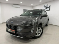 Ford Kuga Bogate Wyposażenie / Serwisowany / Roczna Gwarancja w cenie
