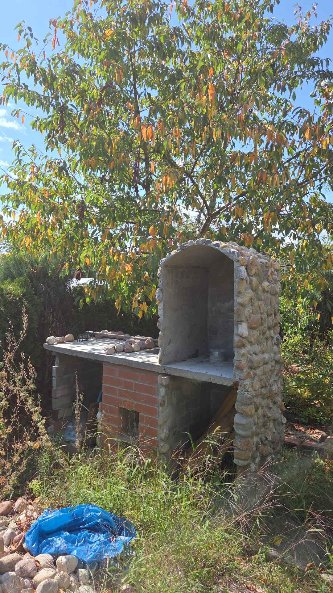 Działka ROD z murowaną altaną Kędzierzyn-Koźle - zdjęcie 6