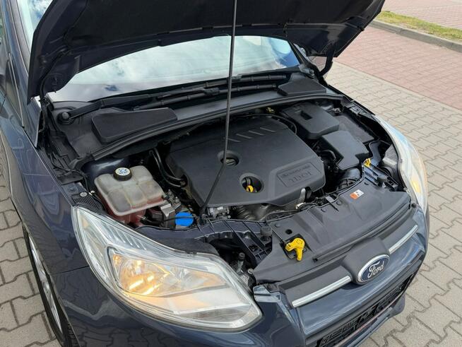 Ford Focus 1.6 TDCi DPF Champions Edition Gostynin - zdjęcie 6