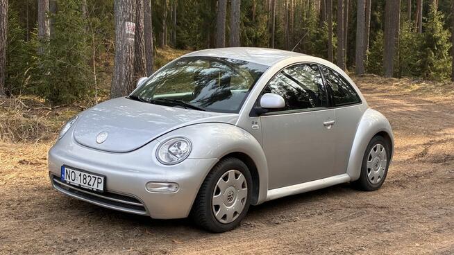 New Beetle Olsztyn - zdjęcie 1