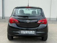 Opel Corsa 78oookm Bezwypadkowy Zadbany Serwis Nowa Wieś Rzeczna - zdjęcie 5