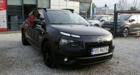 Citroen C4 Cactus Ostrów Wielkopolski - zdjęcie 2