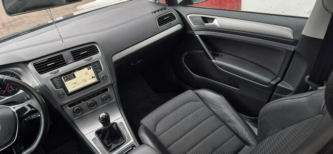 Volkswagen Golf Paproć - zdjęcie 12