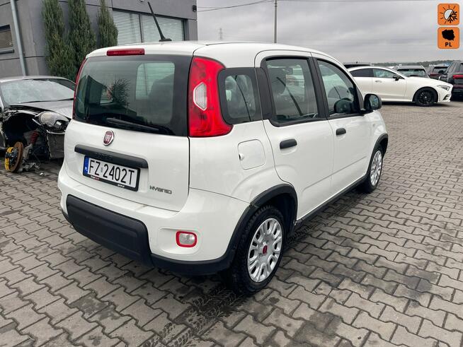 Fiat Panda Salon Polska_mHEV Klimatyzacja Gliwice - zdjęcie 1
