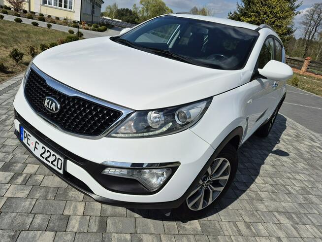 Kia Sportage 1.6 benzyna kamera Biała Perła Drelów - zdjęcie 4