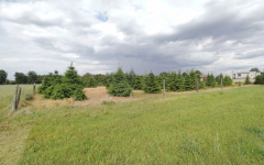 Działka z WZ blisko Nowego Tomyśla. Glinno - zdjęcie 6