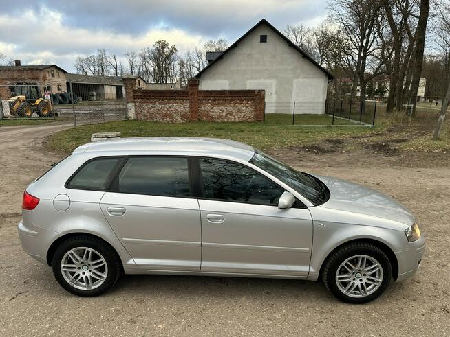 Audi A3 8P 1,6 8V SR 102 KM Sportback ALU Niski Przebieg Super Stan Józefkowo - zdjęcie 12