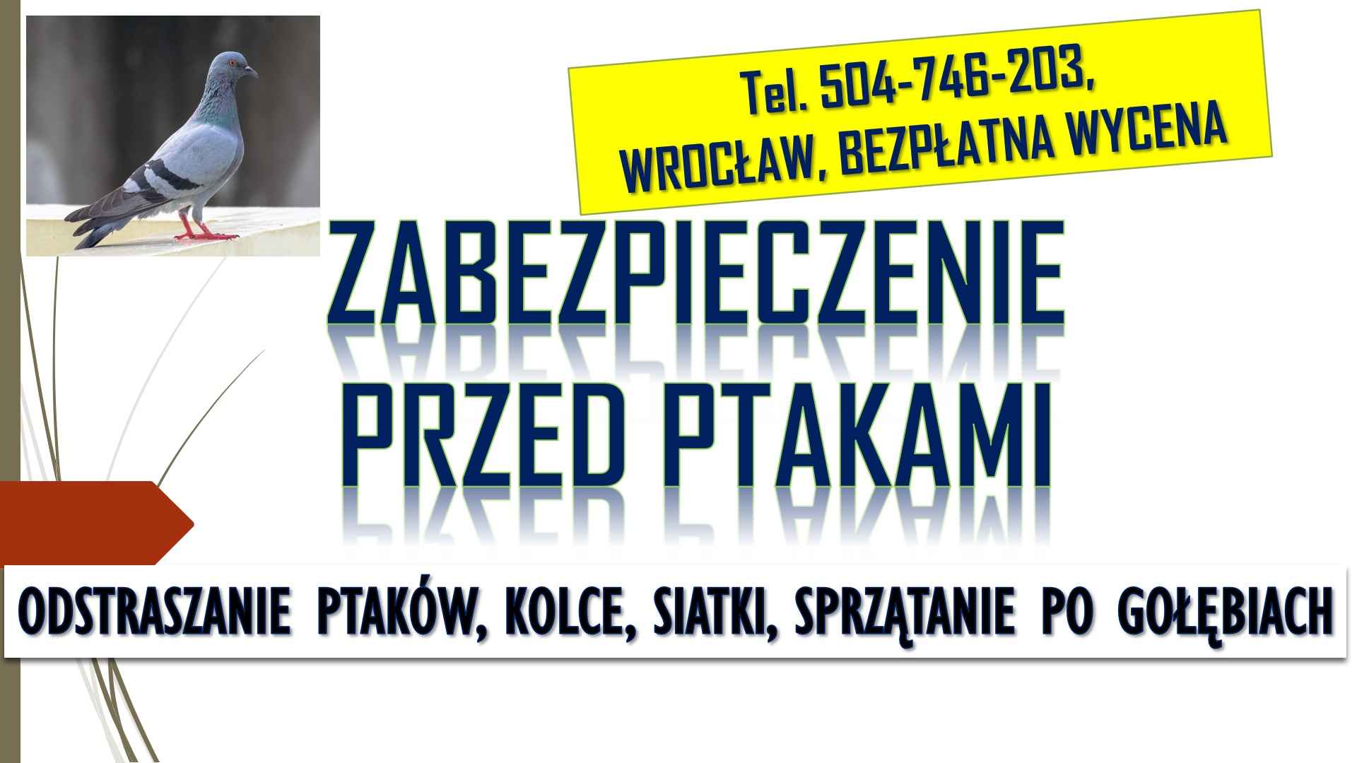 Odstraszanie gołębi, Wrocław, tel. 504-746-203. Płoszenie ptaków, cena Psie Pole - zdjęcie 2