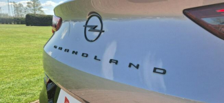 Opel Grandland SALON-BEZWYPADKOWY-BOGATA WERSJA Paproć - zdjęcie 10