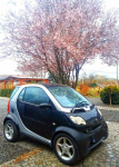 SMART fortwo 2002rok klima .szklany dach. alufelgi.
