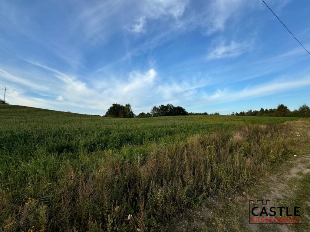 Inwestycyjna Działka|Chmielno|Kaszuby Chmielno - zdjęcie 5