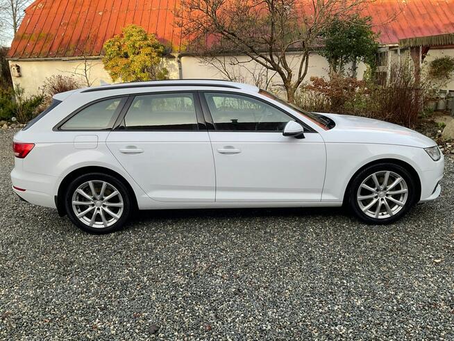 Audi A4 Sadlno - zdjęcie 3