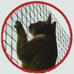 złota rączka Ludwik Opole Opole - zdjęcie 2