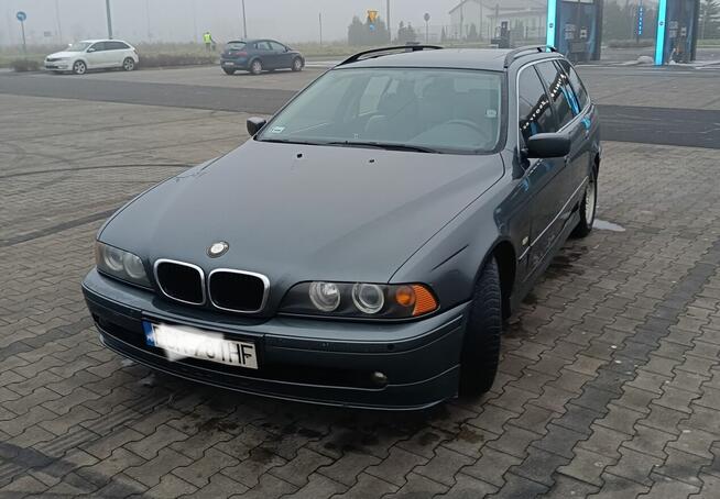 BMW 525d E39 2003 r Inowrocław - zdjęcie 2
