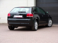 Audi A3 Lift / Klimatronic /1,6 /115KM /2006r Mikołów - zdjęcie 11