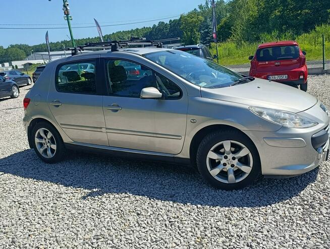 Peugeot 307 Krajowy, benzyna 1.6, klimatyzacja Dulowa - zdjęcie 9