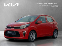 Kia Picanto 1.2 MPI 84KM / L / Salon Polska / 1wł /
