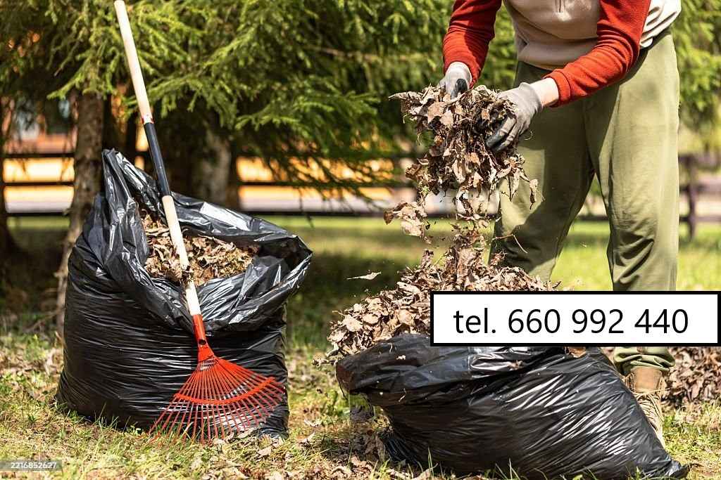 Koszenie trawników, jesienne prace ogrodowe Gdańsk - zdjęcie 11