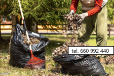 Koszenie trawników, jesienne prace ogrodowe Gdańsk - zdjęcie 11