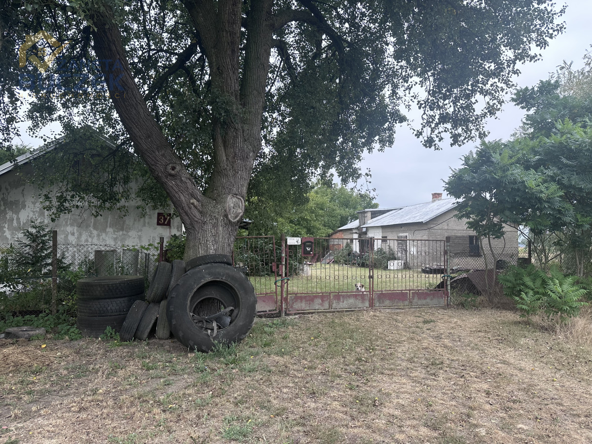 Działka rolna z budynkami - Pasikonie gm.Kampinos Pasikonie - zdjęcie 2