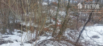 Siary działka budowlano-leśna 21a 1168S/2026 Siary - zdjęcie 3