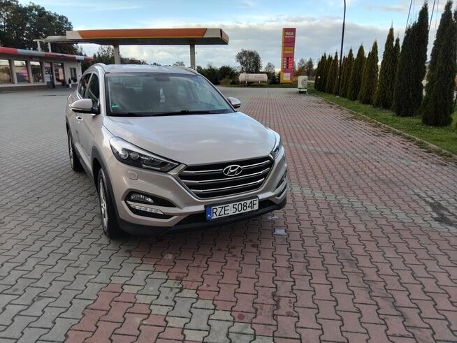 HYUNDAI Rzeszów - zdjęcie 6